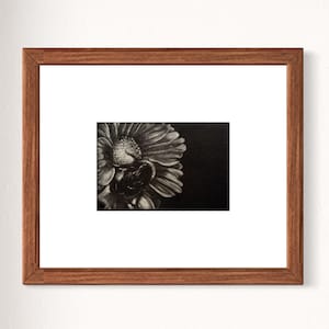Coexistence Mezzotint Print - Original Limited Edition High Quality Nature Wall Art, Bumblebee & Flower,  Botanical Gift for Nature Lovers