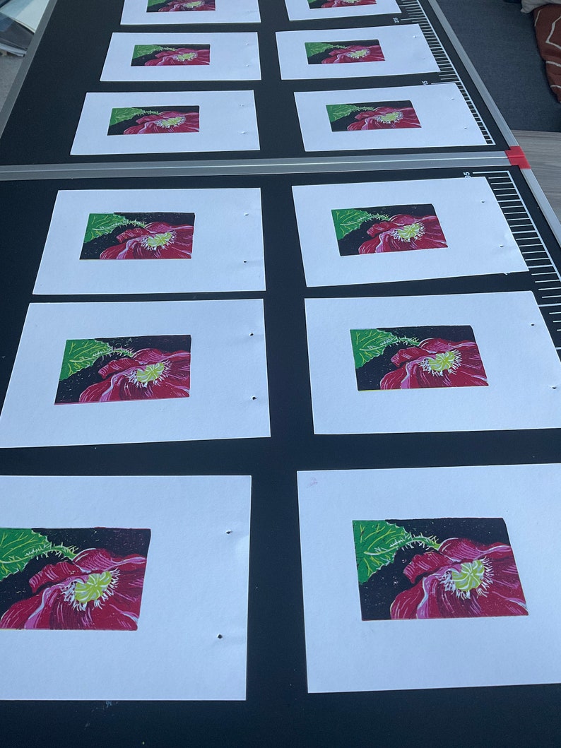 Linocut handmade print reduction layers in color showing a papaver flower with a leaf Several in progress