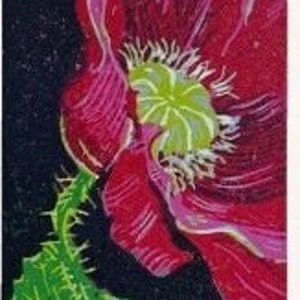 Linocut handmade print reduction layers in color showing a papaver flower with a leaf