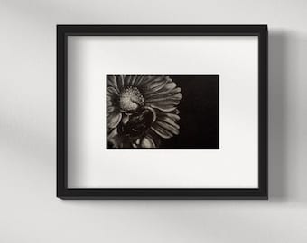 Coexistence Mezzotint original limited nature themed wall fine art print, bumblebee flower,mothers day home decor gift idea for nature lover