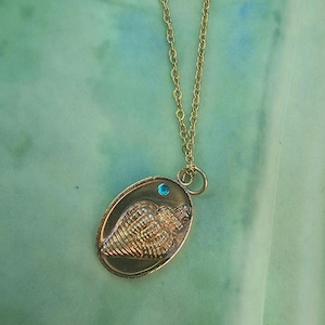 Blue Shell Resin Gold Charm Necklace, Gold Shell Pendant Necklace, Shell Jewelry,  Gift For Her, Gift For Teen