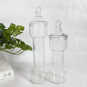 Könnte beinhalten: Zwei Apothekergläser aus klarem Glas mit Deckeln. Die Gläser haben einen zylindrischen Sockel und einen breiteren oberen Teil mit rundem Deckel und kleinem Griff. Die Gläser sind unterschiedlich groß und stehen auf einer weißen Oberfläche.