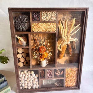 May include: A rectangular wooden shadow box display case featuring multiple compartments filled with dried natural elements including corn cobs, various beans, seeds, wood slices, a lotus pod, and a small ceramic pitcher with dried flowers.