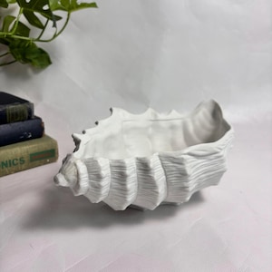 May include: A white, seashell-shaped decorative bowl. The bowl has a textured surface with ridges and a scalloped edge. The bowl is empty and sits on a white surface. The bowl is next to a stack of books and a green plant.