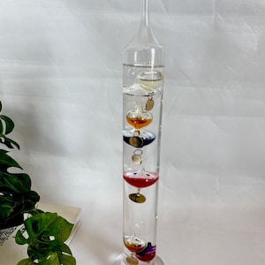 May include: A clear glass Galileo thermometer with colorful liquid-filled bulbs and small brass tags. The thermometer is cylindrical with a flared base and a long, pointed top. The bulbs are filled with liquids of various colors, including yellow, orange, blue, and red.