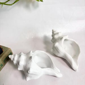 May include: Two white ceramic conch shell sculptures with a matte finish. Each shell features a spiral-shaped top and a wide, open cavity. The sculptures are positioned side-by-side, showcasing the detailed ridges and natural curves of the shells.
