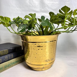 Puede incluir: Una maceta de latón pulido con textura martillada y un borde ancho y acampanado. La maceta tiene una base redondeada y contiene una planta artificial verde de tipo monstera con hojas divididas. La superficie muestra signos leves de desgaste.