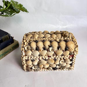 May include: A rectangular box covered in a dense mosaic of various seashells, including tan fan-shaped scallops, small white circular shells, and dark spiral shells. The exterior surface is entirely textured with these natural marine elements.