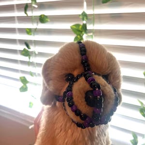 ESSA dog kandi muzzle