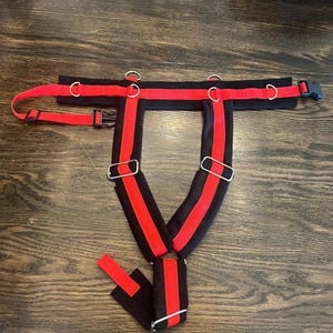 Op de afbeelding: Zwart en rood harnas met verstelbare bandjes en metalen hardware. Het harnas heeft een rode streep in het midden van de zwarte bandjes en een zwarte gespsluiting. Het harnas is ontworpen voor een specifiek doel.