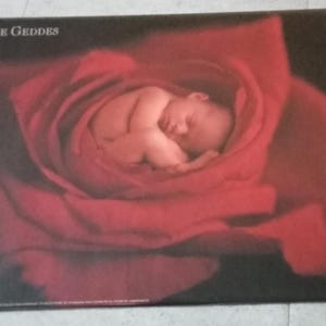 Reproducción del cartel de Anne Geddes
