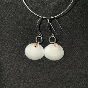 Shell earrings