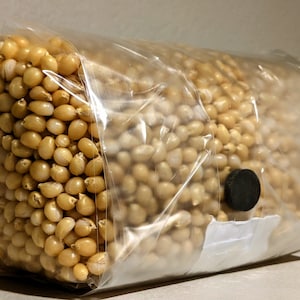 4lbs (Two x 2lb Bags) Hydrated and Sterilized Popcorn Grain Mushroom Spawn Bags w/ Injection Port and .2 Micron Filter