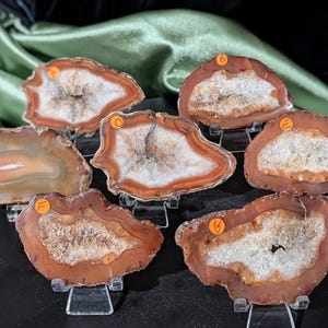 May include: Seven agate slices with different patterns and colours, including brown, white, and orange, displayed on stands.