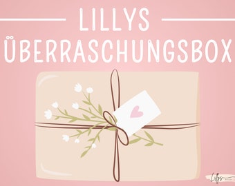 Lilly's verrassingsdoos I envelopmethode I contante vulling