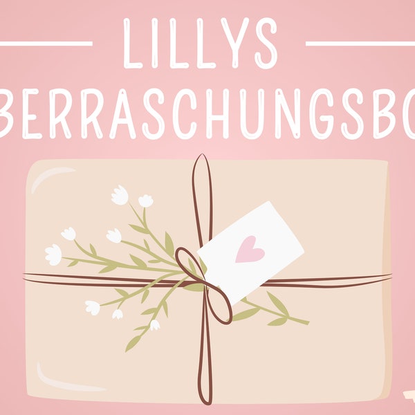 Lillys Überraschungsbox I Umschlagmethode I Cashstuffing