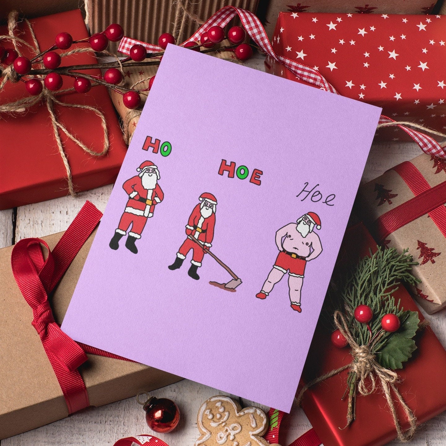 Funny Santa Ho Ho Hoe Christmas Card With Envelope A5 A6 Rude Father Christmas Card 