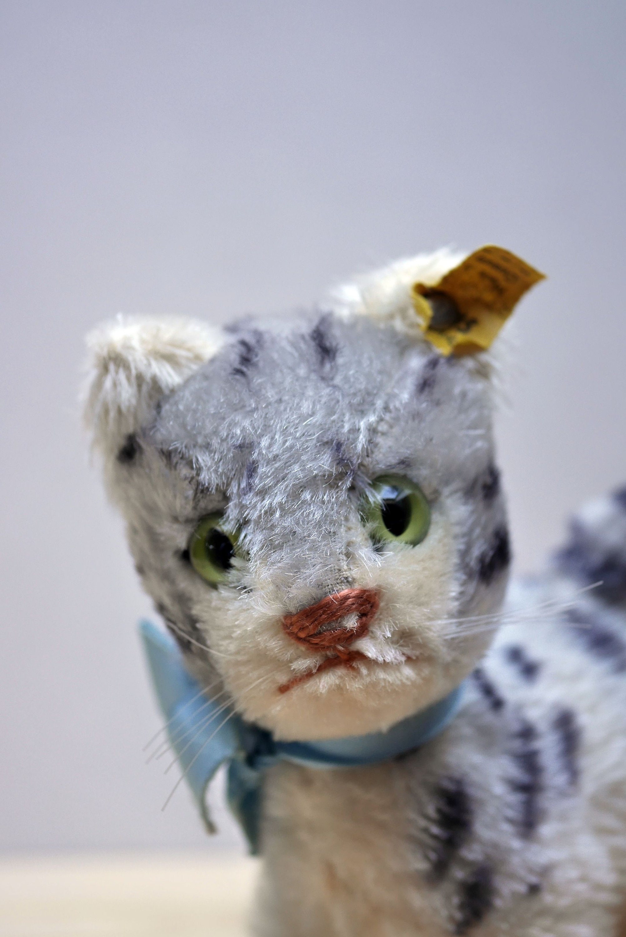 シュタイフの猫「リジー」、2713/15、1960年代、ボタンと旗付き - Etsy