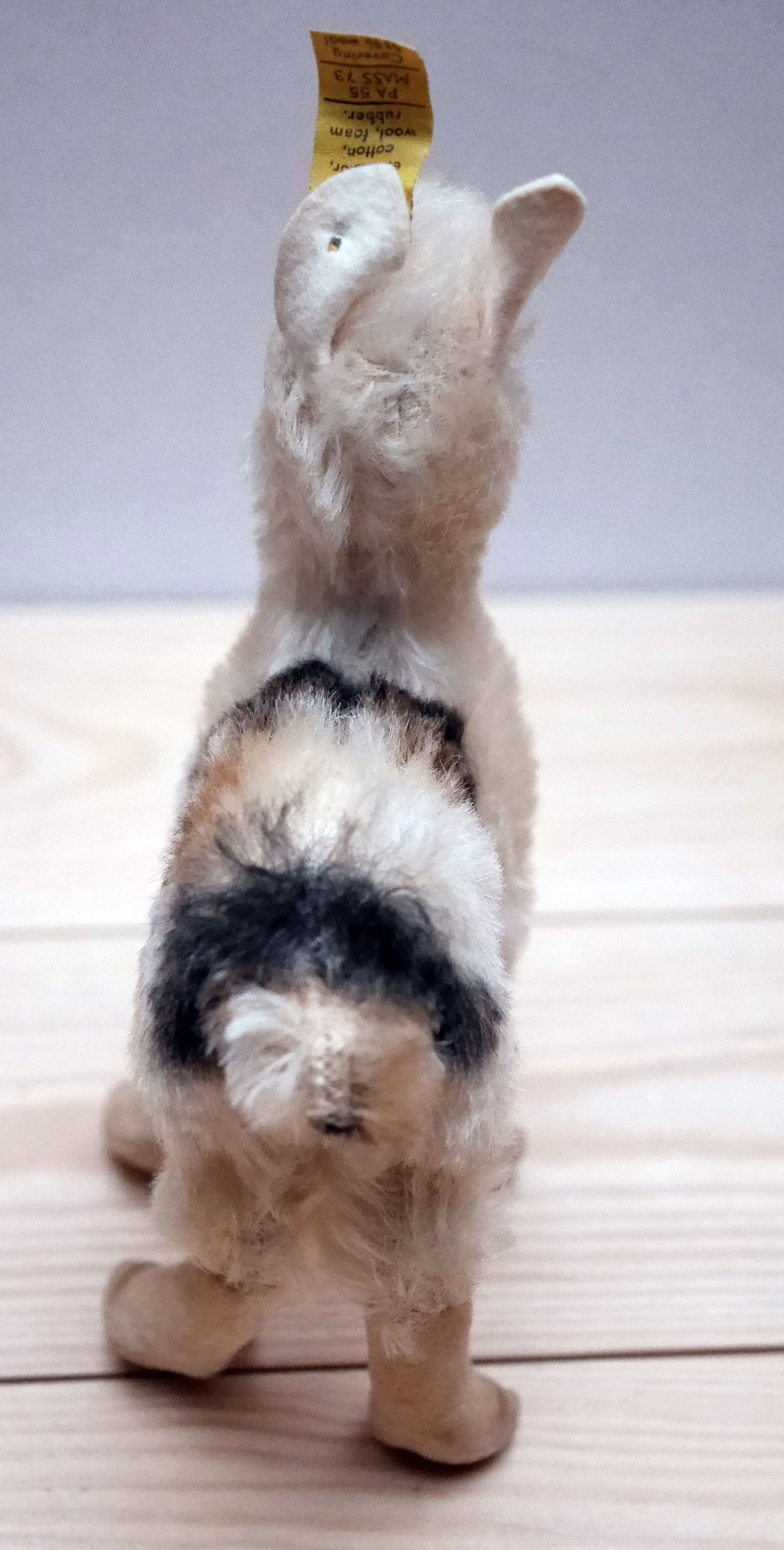 Original Steiff Lama, 0650/17 With All Ids, Button, Flag and