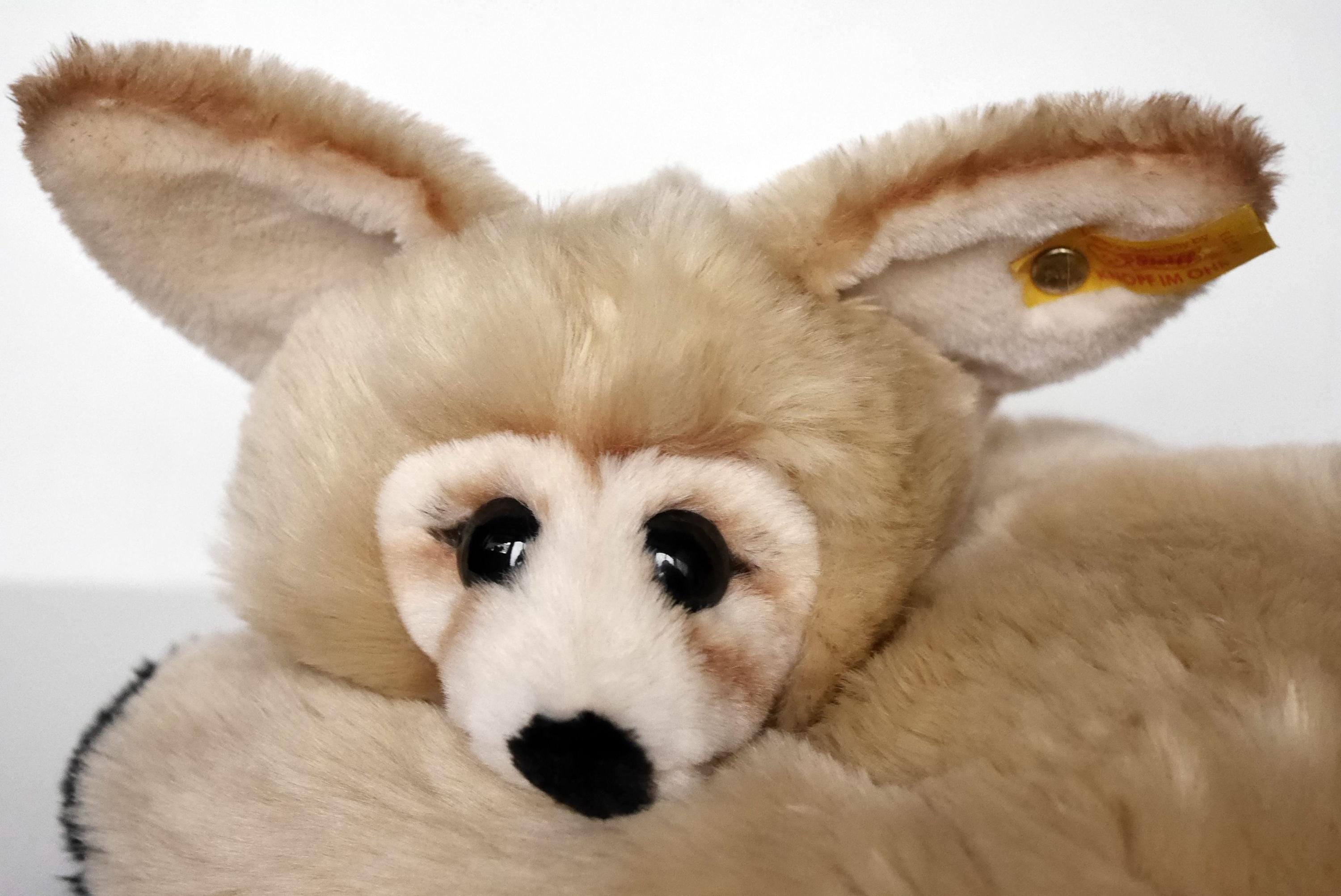 Vintage Steiff Desert Fox FENNY, 070013, Ringed Fox With Button