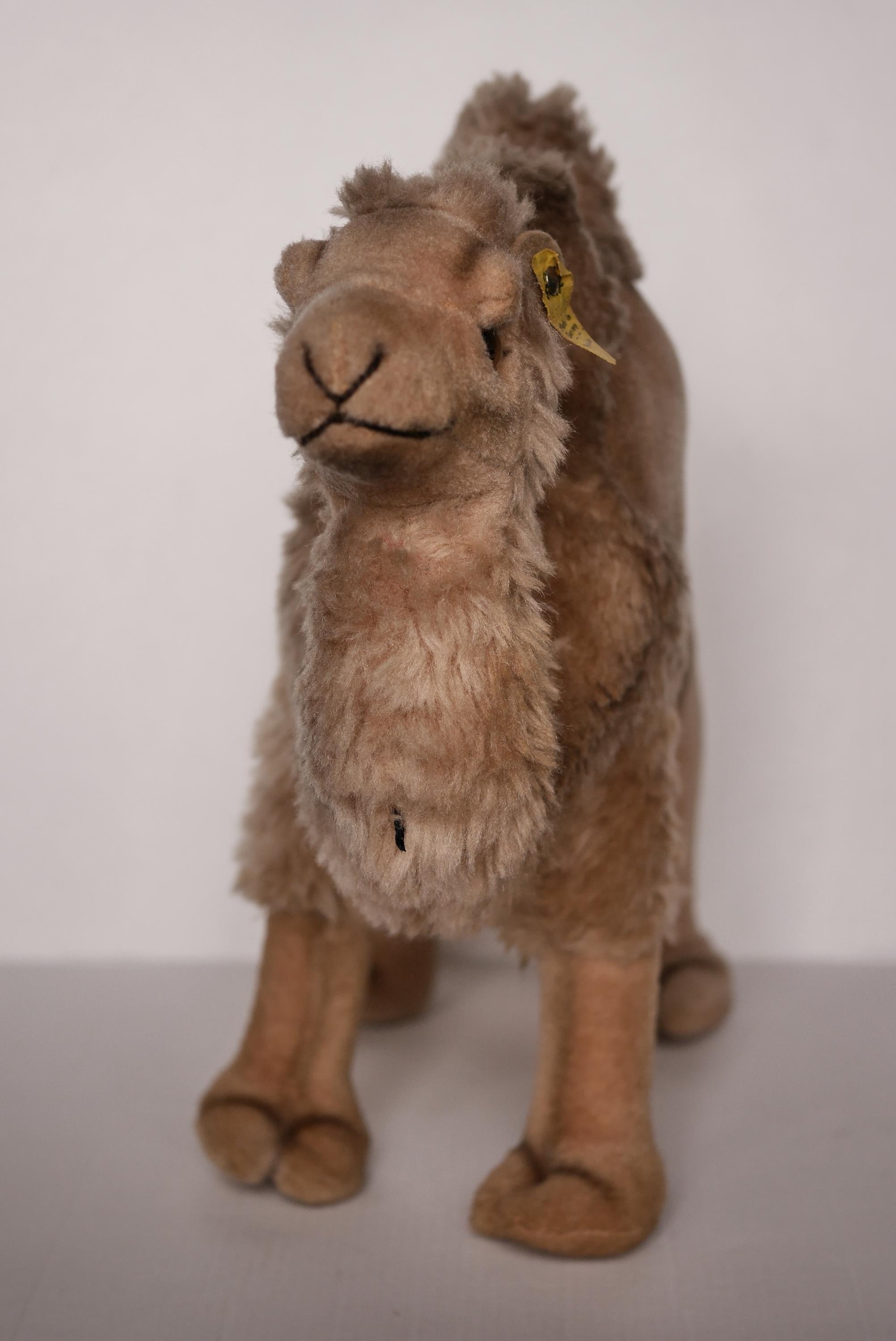 Steiff Cosy Camel With Button and Flag, 28 Cm, 1960s - Etsy