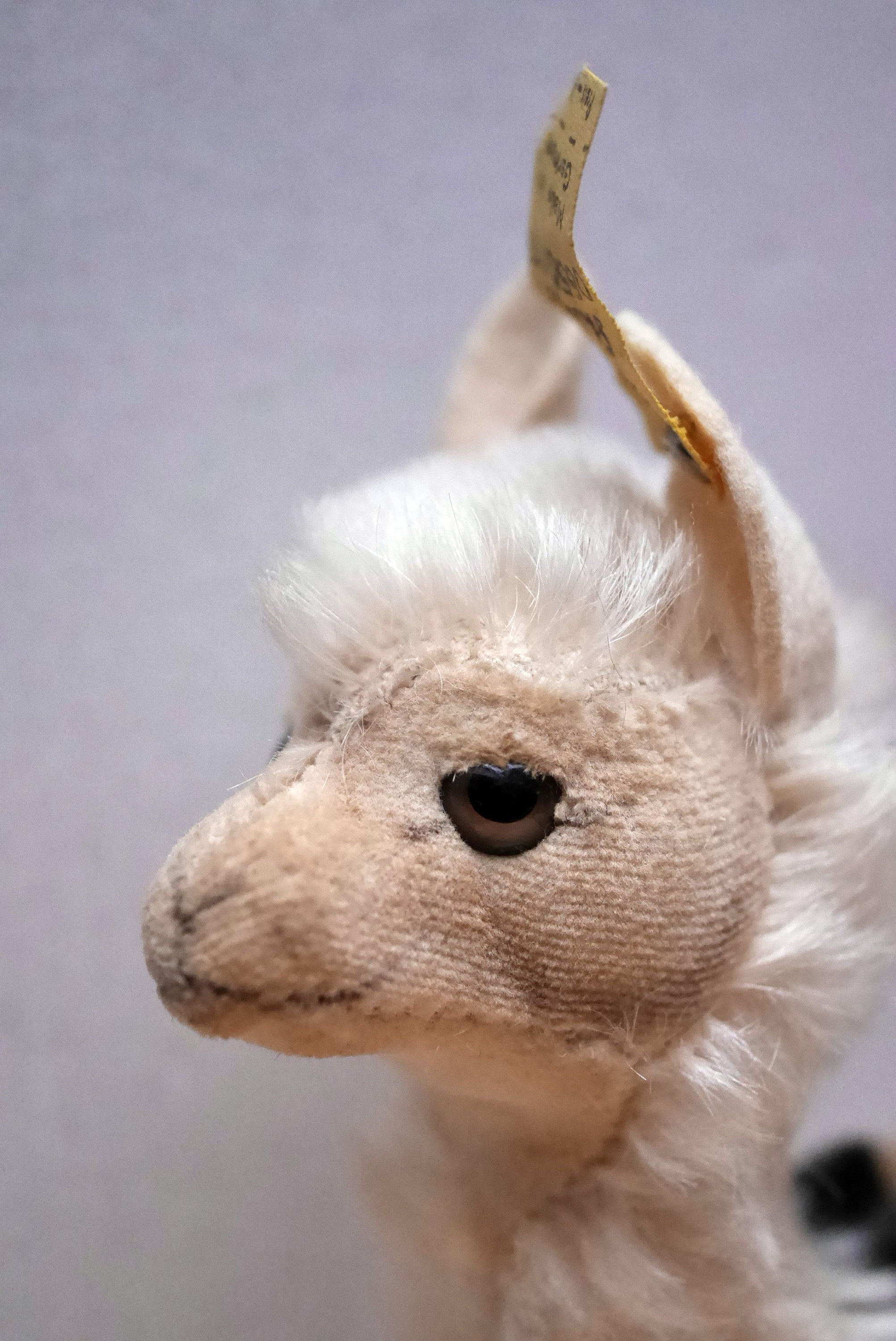 ラマ　Lama steiff Amazon.co.jp: STEIFF リンドロ ラマ ソフトトイ 29㎝ Leandro