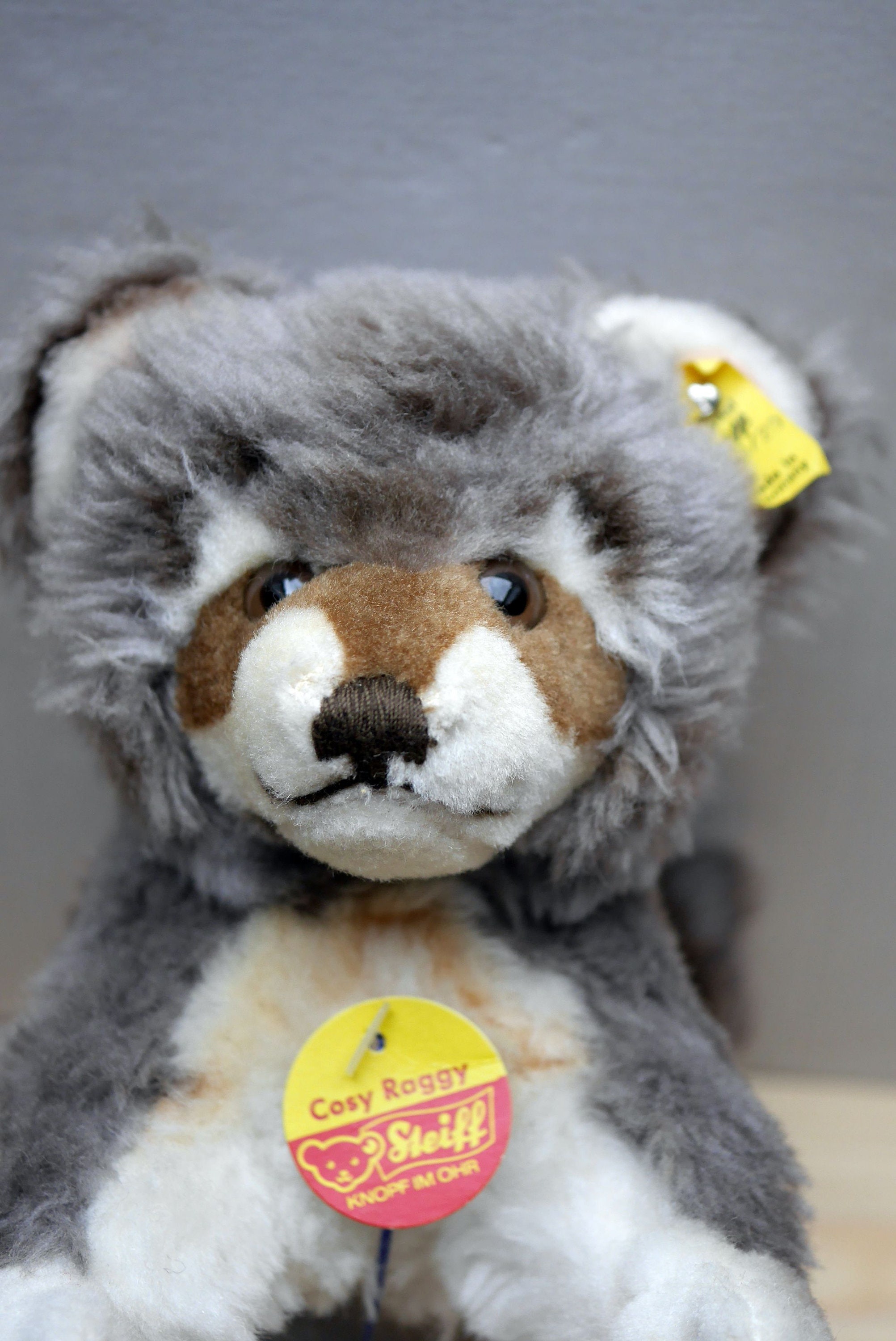 Steiff - シュタイフ★Raccy Racoon 17cm&amp;10cm★アライグマ 2体セット Steiff Racoon Raccy, 10 cm, Art.nr. 4310,00 – Bears Dolls Toys