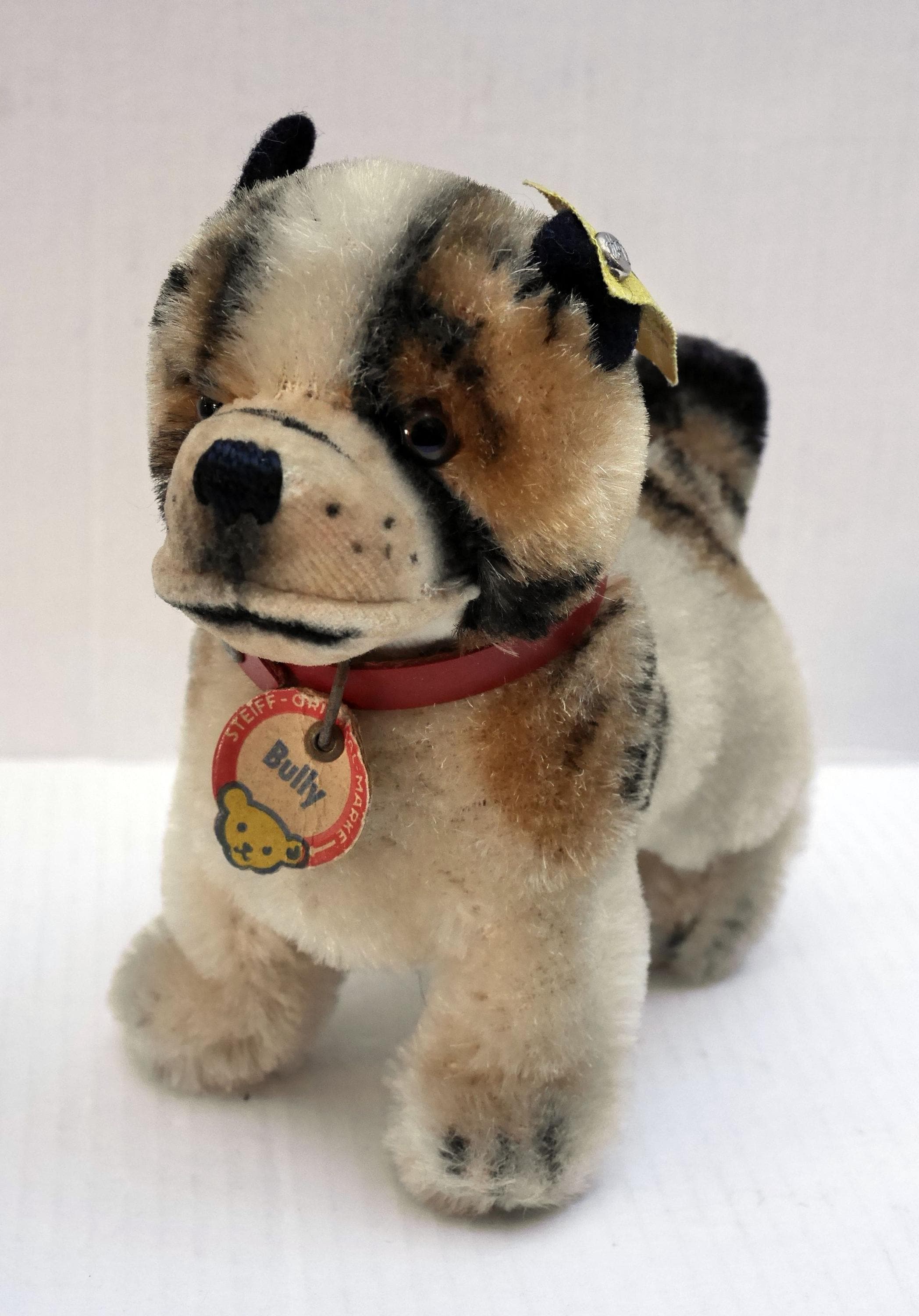 Steiff bulldog - Etsy 日本