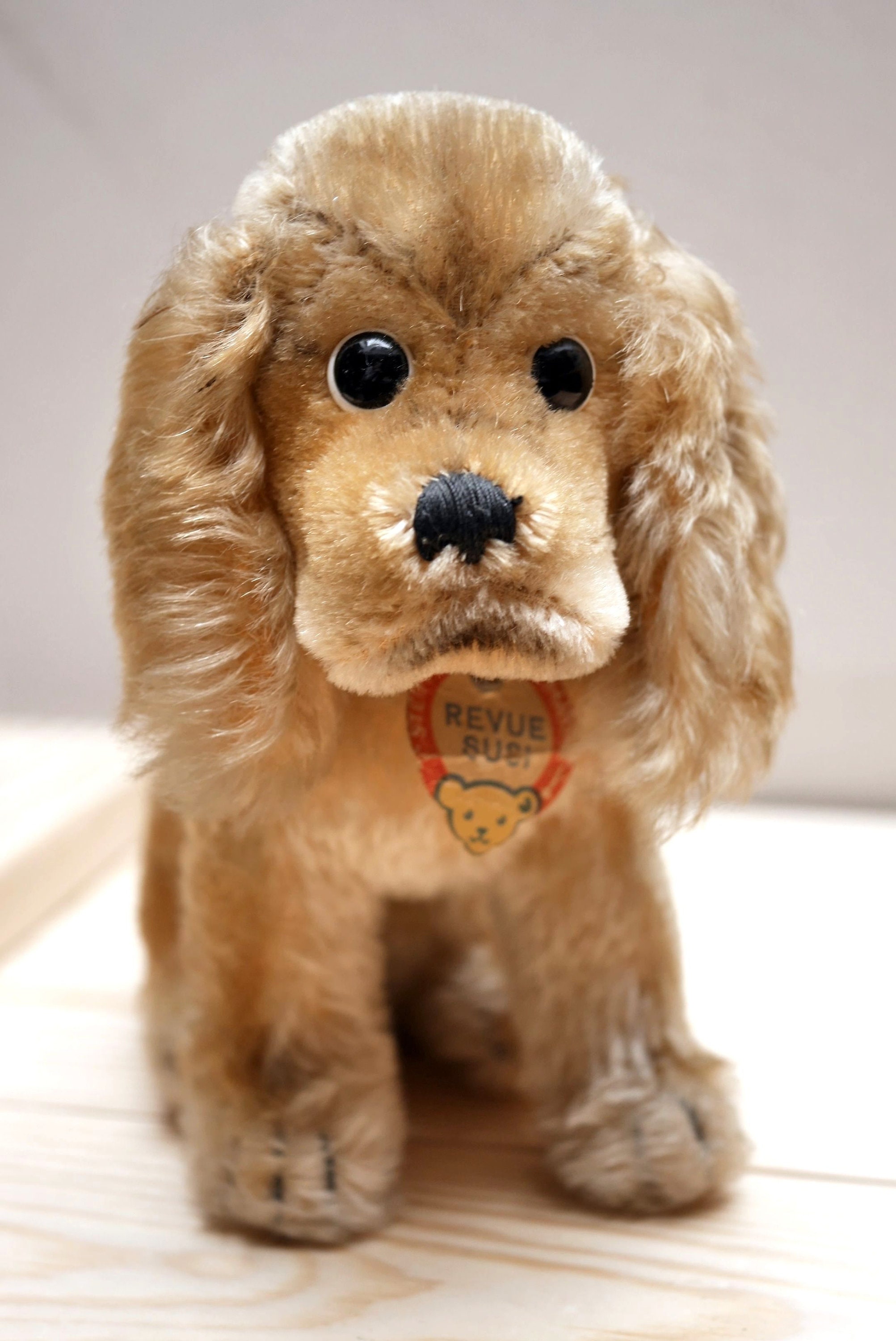 ドイツ・ビンテージ/ 50年代・犬 コッカースパニエル / 14㎝ ビンテージ シュタイフのアメリカン・コッカー・スパニエル！ : iinu, image size:2005x3000