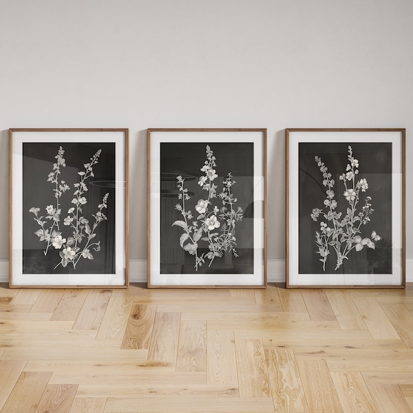 Botanical Wall Art, Wildflowers, Black and White Floral Print, Printable Art, Modern Painting, Minimalist, Contemporary, Digital download