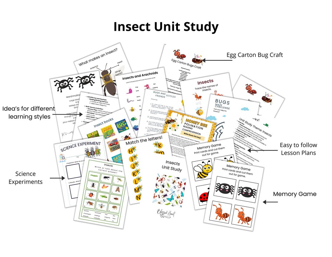 Insect Unit Study Insect Unit Study - Etsy