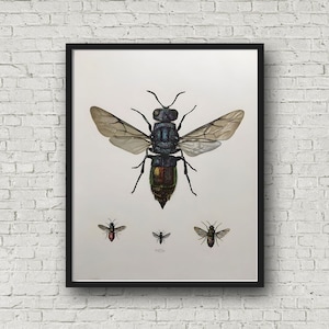 Rubinstjärtad getingtryck: Vetenskaplig vintageillustration, Cottagecore-väggkonst