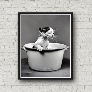 Puede incluir: Un gatito blanco y negro sentado en una olla de esmalte blanco, mirando hacia arriba y sacudiendo agua de su pelaje.