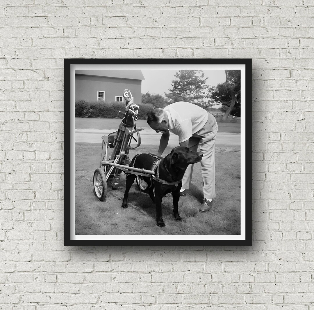 No Better Caddie Than the Pup Caddie, Golf Photo Print, Vintage