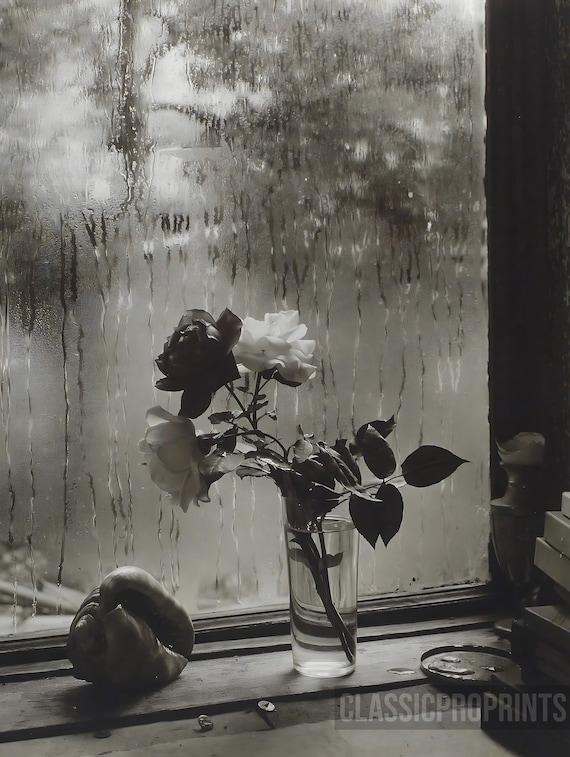 Josef Sudek ヨゼフ・スデク 作品集 1956 FOTOGRAFIE Josef Sudek ヨゼフ・スデク 作品集 1956 FOTOGRAFIE Josef