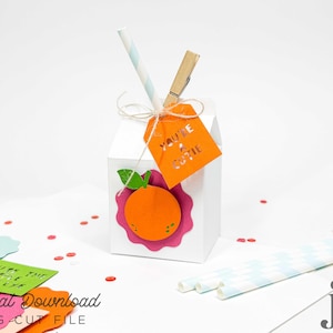 Cricut 用 SVG ジュース ボックス/カートン カッティング テンプレート | Silhouette | Brother ScanNCut