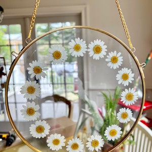 Round Frame with Dried Daisies