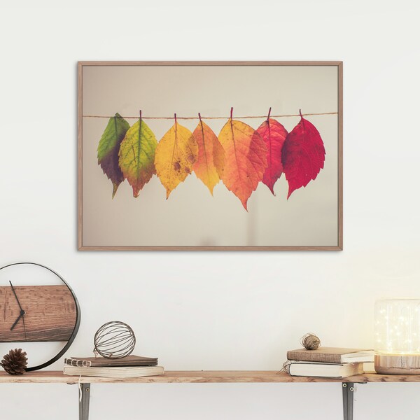 Autumn Leaves Picture | Modern Autumn Leaves Poster