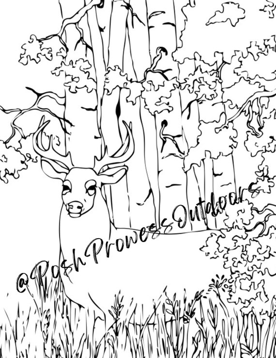 White-tail Deer Coloring Page - Etsy