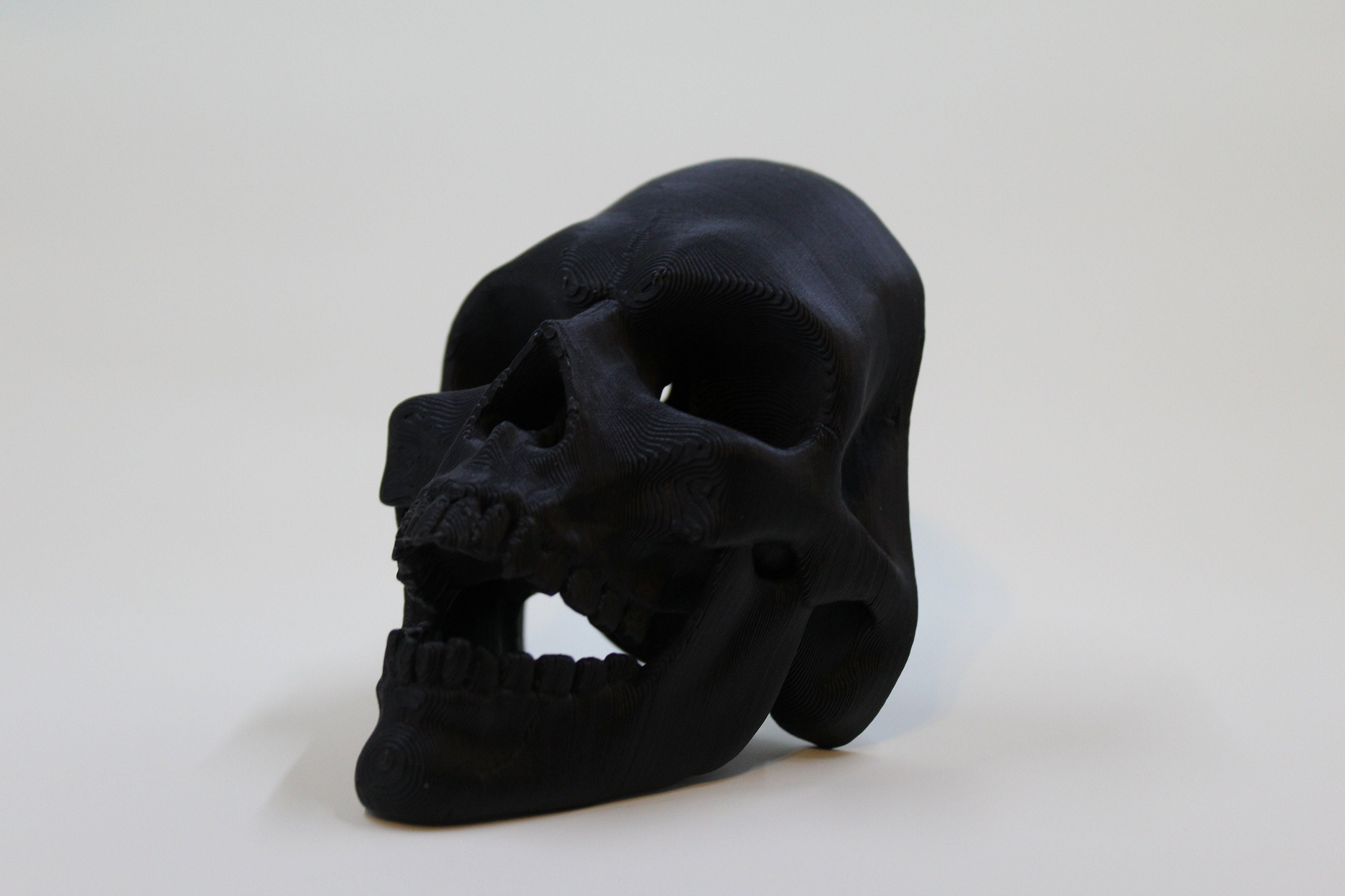 Large Skull With Raven Coffin Paper Towel Holder Handmade Vampire Goth  Halloween Kitchen Macabre Décor 