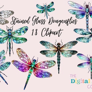 Dragonfly PNG-clipartcollectiebundel
