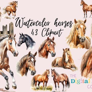 Watercolor Horses Clipart Bundle Enchanting Horse Illustrations, POD Clipart, PNG, Instant Digital Download, Commercial Use