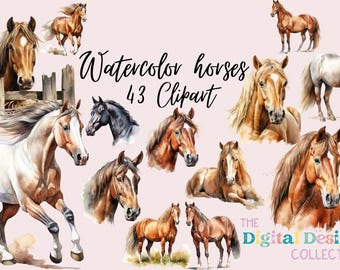 Watercolor Horses Clipart Bundle Enchanting Horse Illustrations, POD Clipart, PNG, Instant Digital Download, Commercial Use