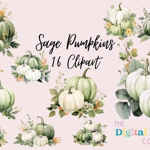 May include: Sage green pumpkins with white accents and floral details. Watercolor clipart set of 16 images. The Digital Design Collective.