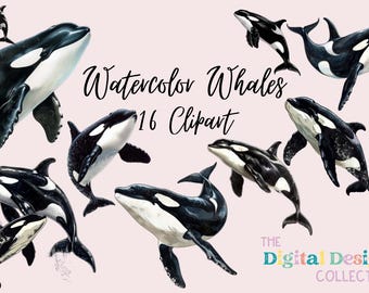 Watercolor Whale Clipart Set, Sea Life, Card Making, Journaling, Digital Paper Craft, Digital PNG POD Watercolor Whales Clipart Bundle