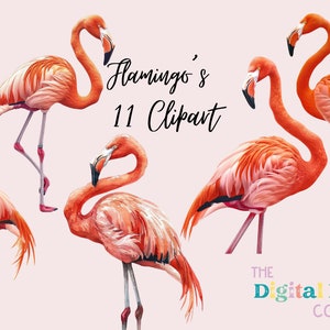 Flamingo Clipart PNG Bundle, Flamingo Images, Floral Tropical Birds Graphics, Instant Digital Download, Commercial Use, Tropical Clipart