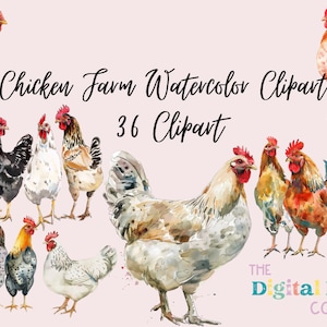 Chicken Farm Acuarela Clipart, Ilustraciones, Arte avícola para uso comercial, Descarga instantánea, POD Seamless