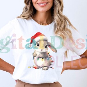 Christmas Farm Rabbit PNG