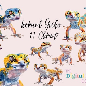 Leopard Gecko Clipart Bundle PNG Bundle PNG Bundle POD Instant download cute reptiles reptile illustration gecko clipart