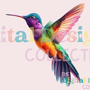 Watercolor Hummingbird Clipart, PNG Pastel Bird Clipart, Hummingbird PNG, Nursery Wall Art, Hummingbird Art, Commercial Use